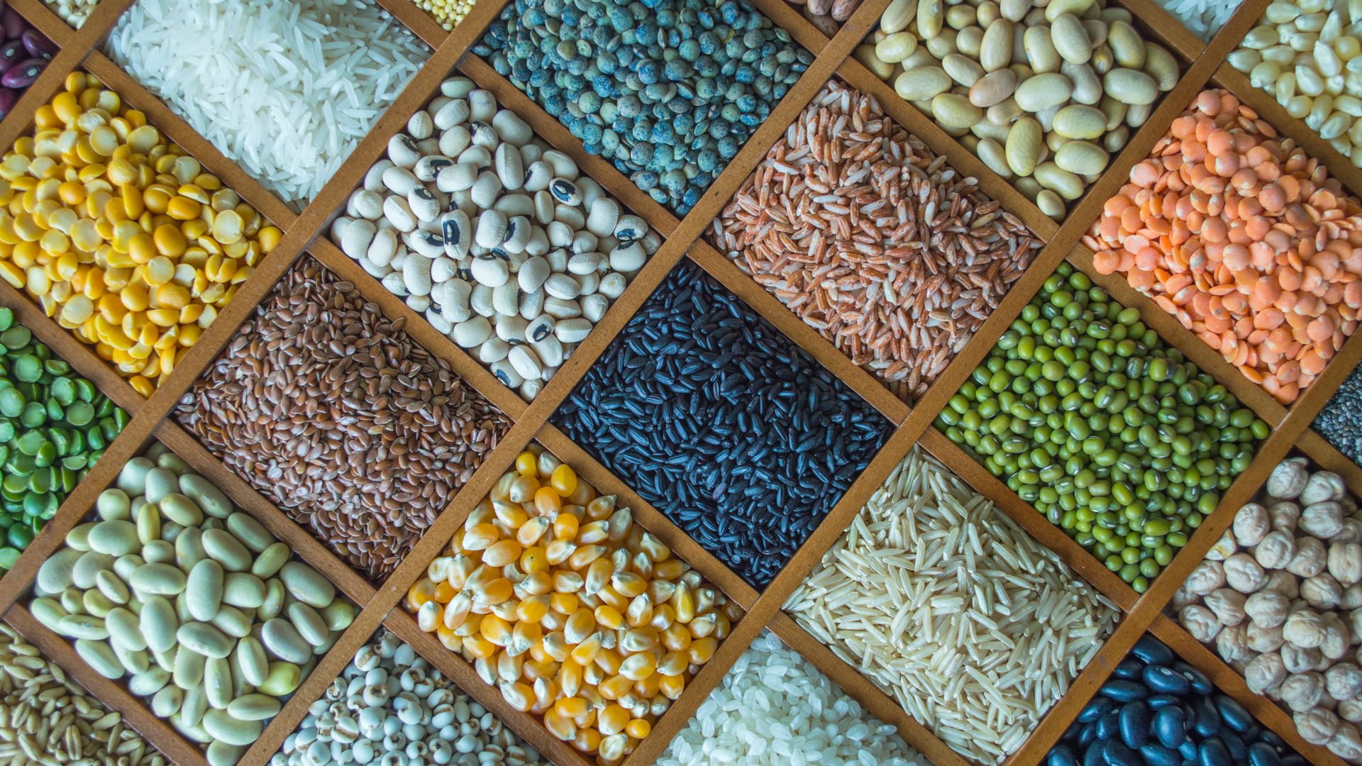 Premium Indian Spices