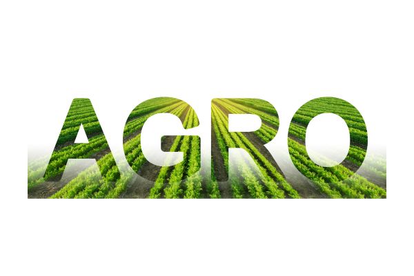 Specialty Agro Commodities Export